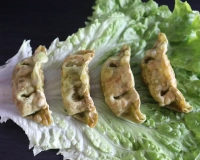 4 Gyoza Légumes